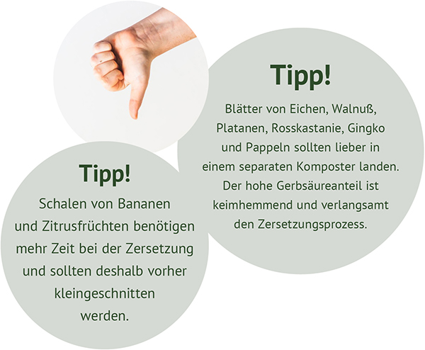 Drei überlappende Kreise mit Kompost-Tipps: Foto einer Hand mit Daumen nach unten; Tipp: Bananen- und Zitrusschalen brauchen länger, vorher kleinschneiden; Tipp: Eichen-, Walnuss-, Platanen-, Rosskastanien-, Ginkgo- und Pappelblätter in separaten Komposte