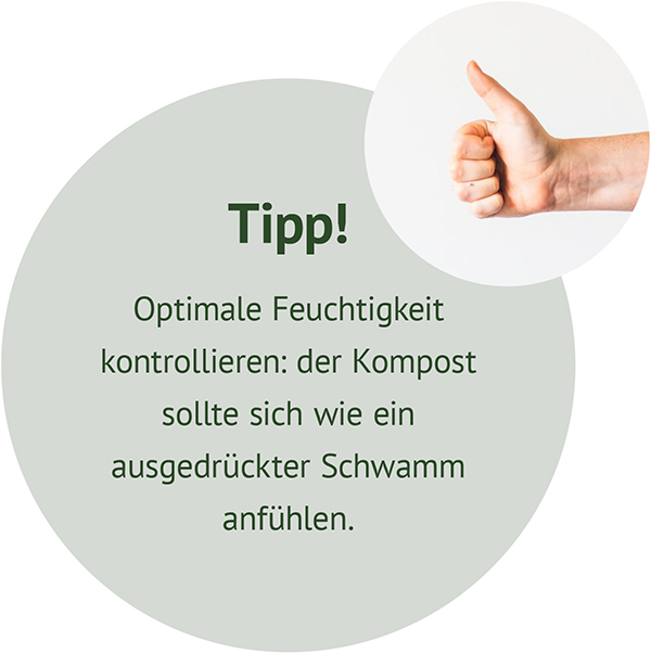 Grüner Kreis mit dem Text Tipp! Optimale Feuchtigkeit kontrollieren: der Kompost sollte sich wie ein ausgedrückter Schwamm anfühlen, daneben ein rundes Foto einer Hand, die den Daumen nach oben zeigt.