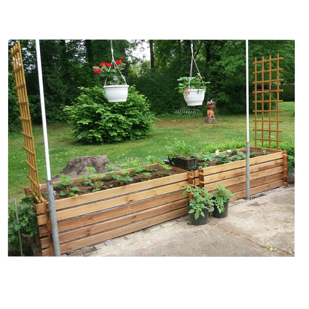 Zwei erhöhte Holzbeete mit jungen Pflanzen, seitliche Rankgitter, zwei hängende weiße Blumentöpfe mit roten und rosa Blüten, Rasenfläche und Bäume im Hintergrund