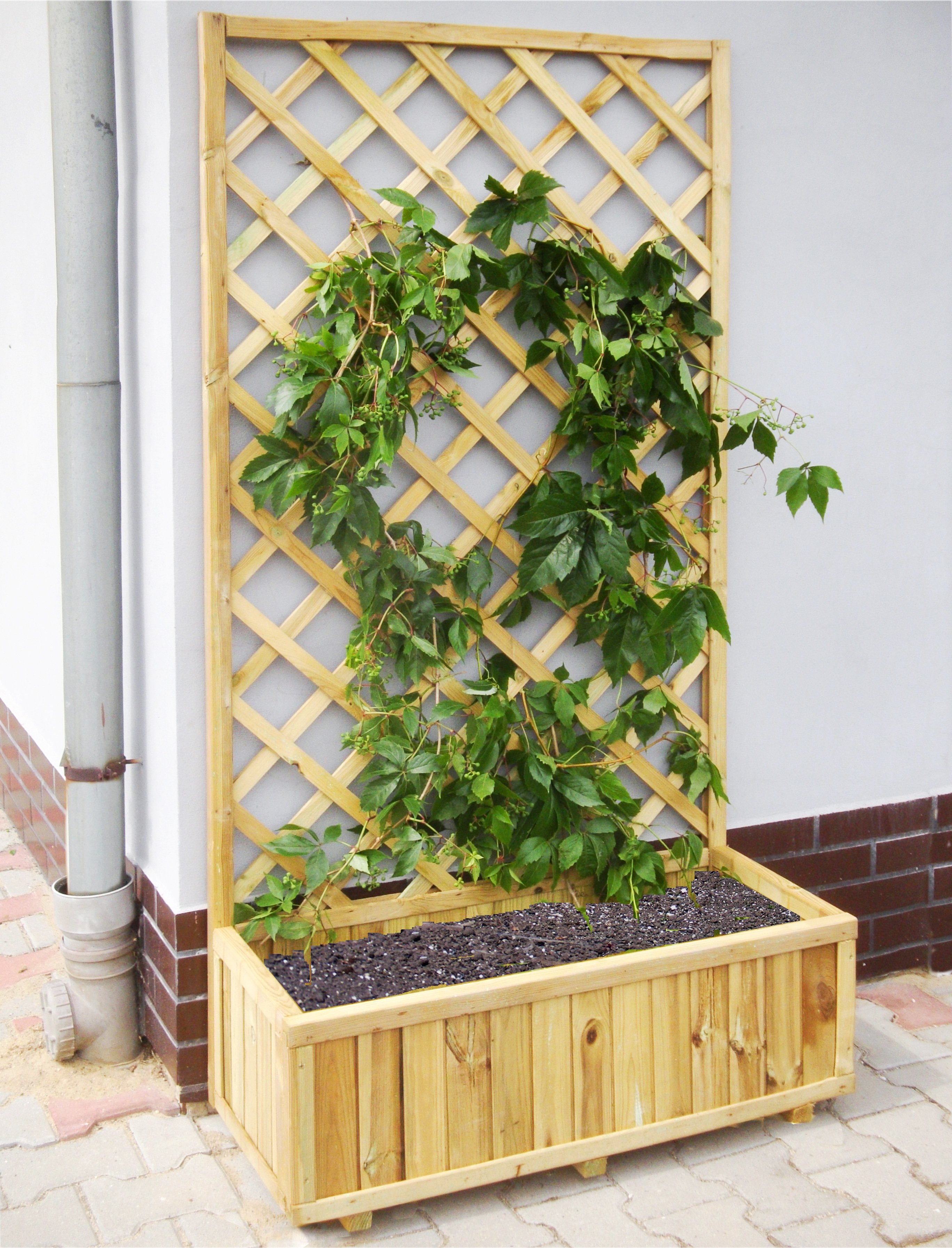 Pflanzkasten Valerian – bepflanzt