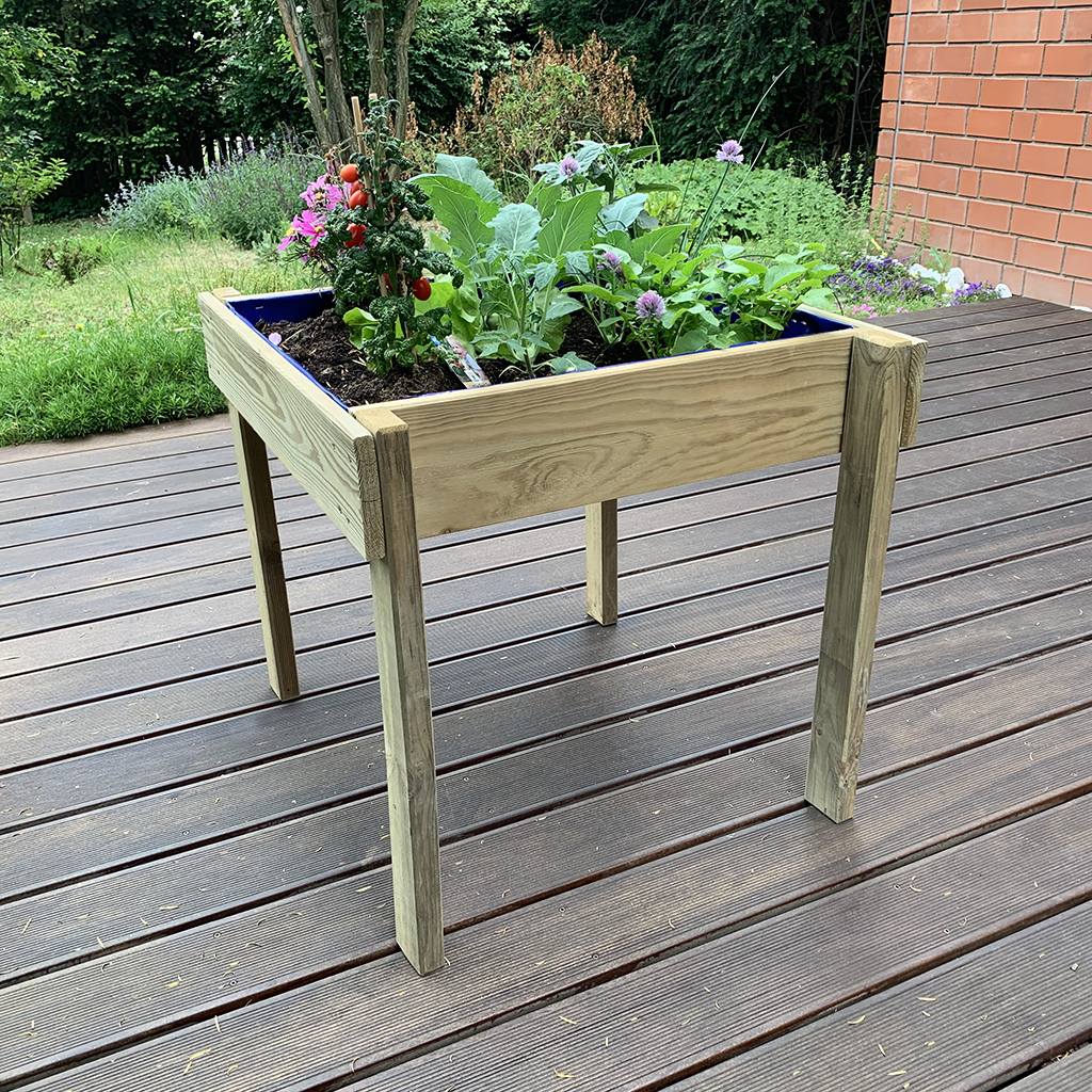 Kinderhochbeet Frieda – bepflanzt