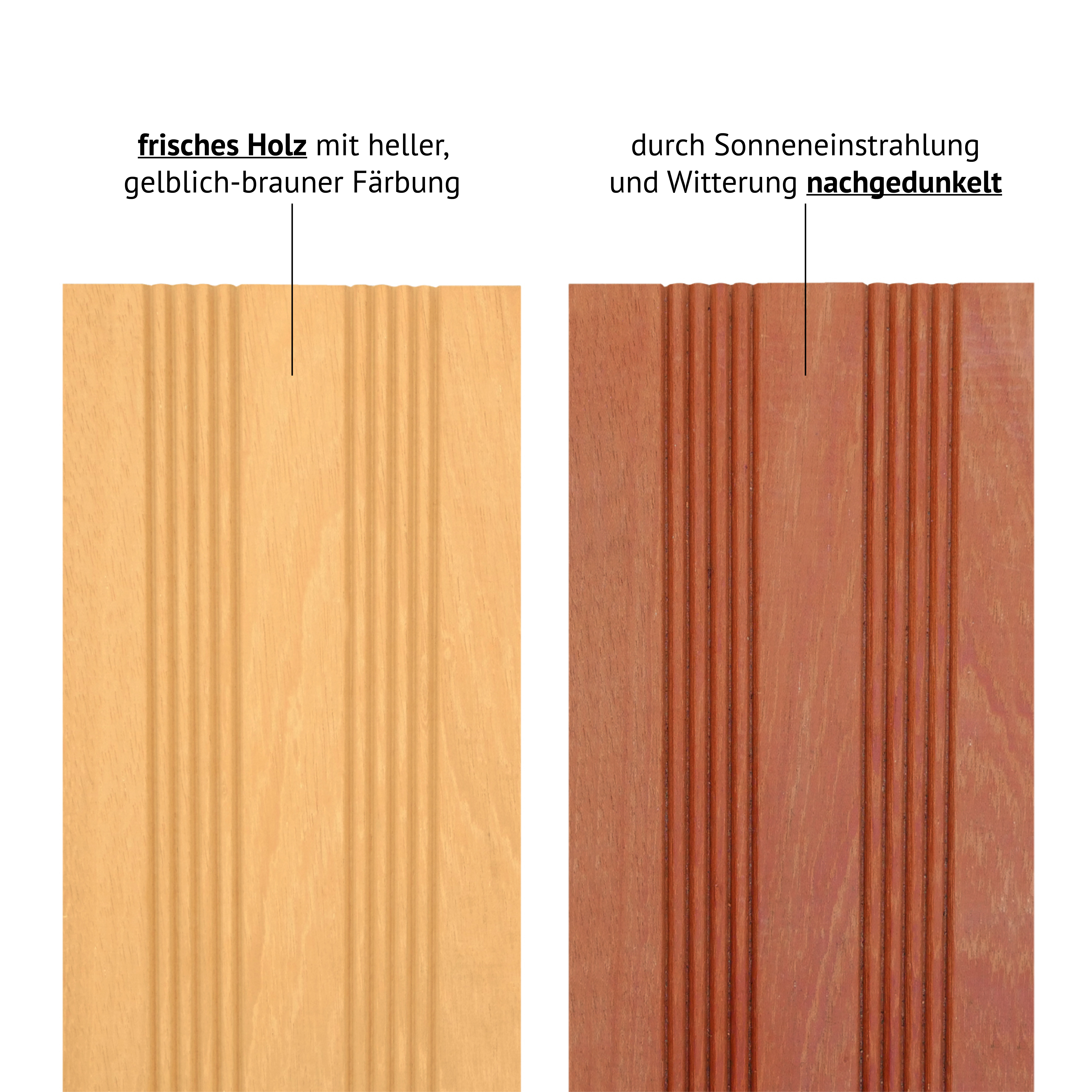 Mururé - Farbigkeitsvergleich
