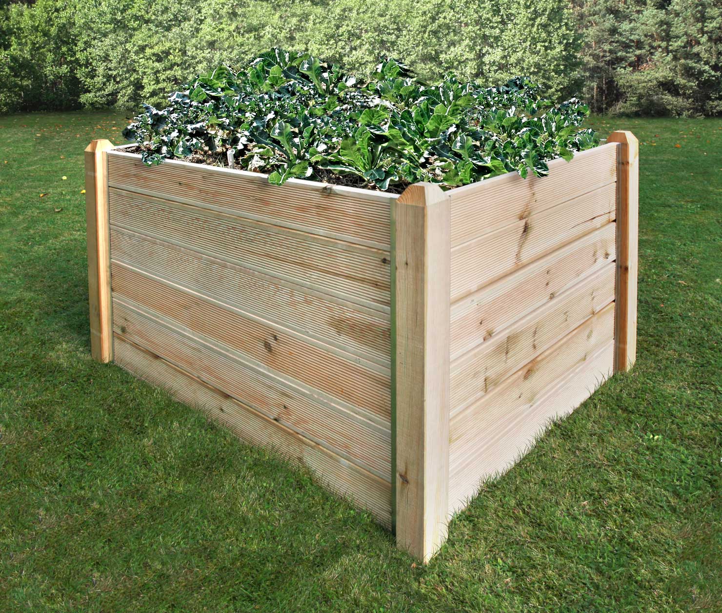 Hochbeet bepflanzt