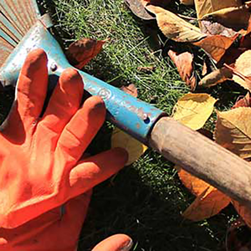 Orange Gartenhandschuhe neben einer blauen Hacke mit Holzstiel auf Gras zwischen herbstlichen gelben und braunen Blättern