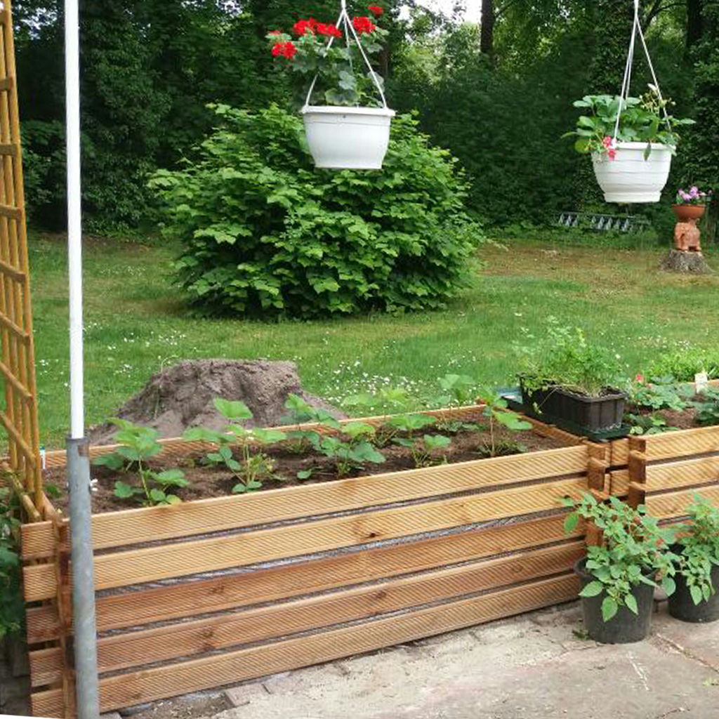 Holz-Hochbeet mit jungen Pflanzen, links eine Rankhilfe, zwei weiße hängende Blumentöpfe mit roten und rosa Blüten, Rasen und dichter Busch im Hintergrund, mehrere Topfpflanzen am Boden