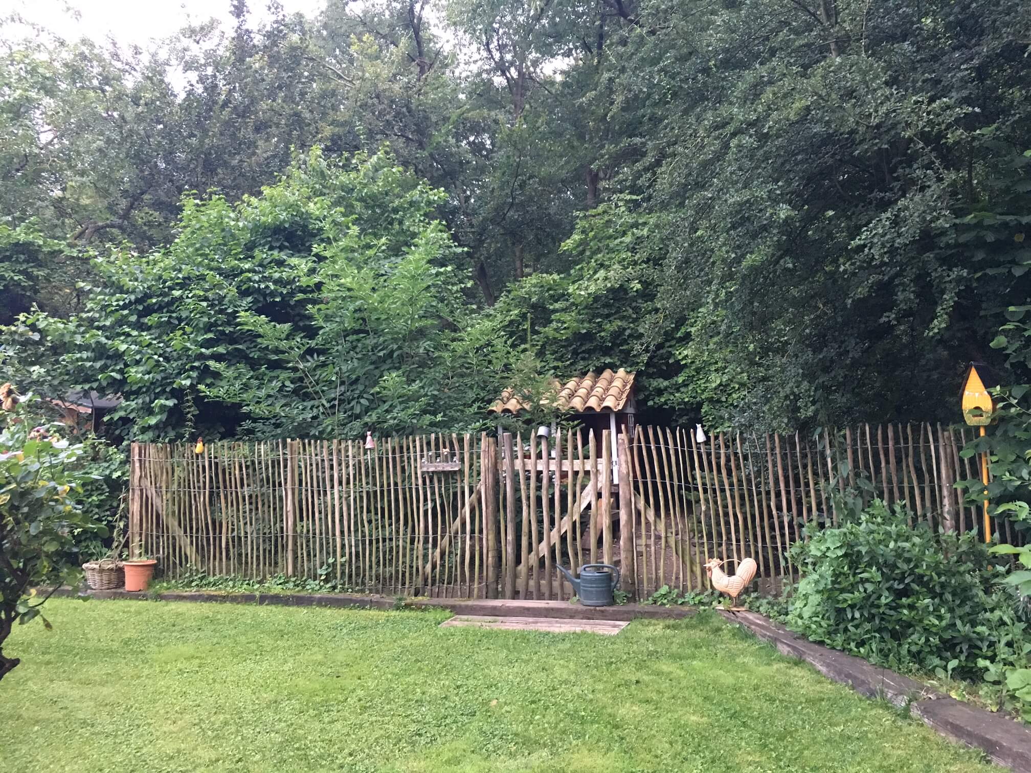 Haselnusszaun Ambiente