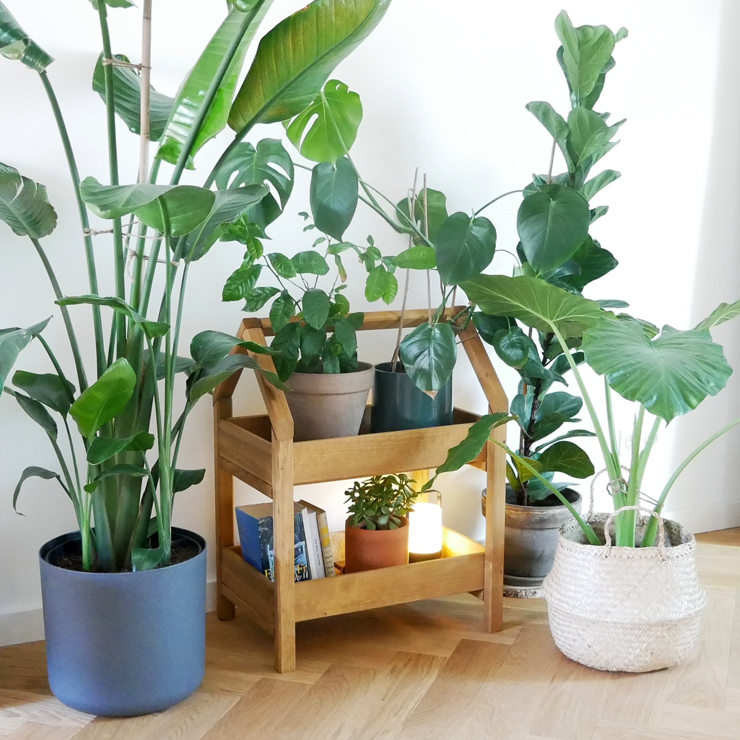 Gartenregal Ares  – auch für die Verwendung im Haus geeignet