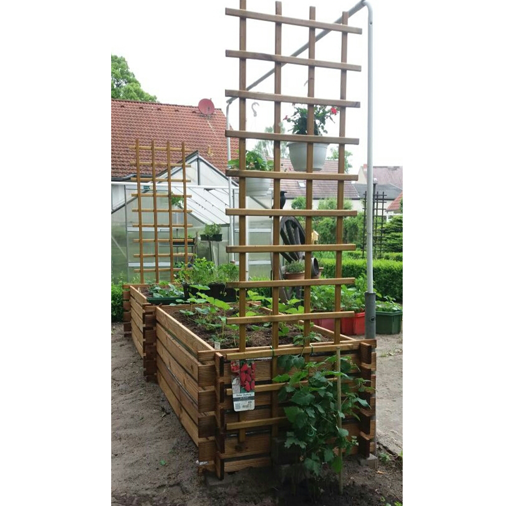 Holz-Hochbeete mit vertikalen Rankgittern, jungen Kletterpflanzen und Hängeblumtopf; im Hintergrund Gewächshaus, Hecke und Hausdächer