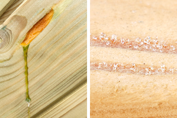 Zweigeteiltes Bild: links helle Holzplatte mit orangefarbenem Harz aus einer Kerbe und grünlichem Rinnsal, rechts Nahaufnahme hellbrauner Holzmaserung mit zwei feinen horizontalen Linien aus kleinen glänzenden Tropfen