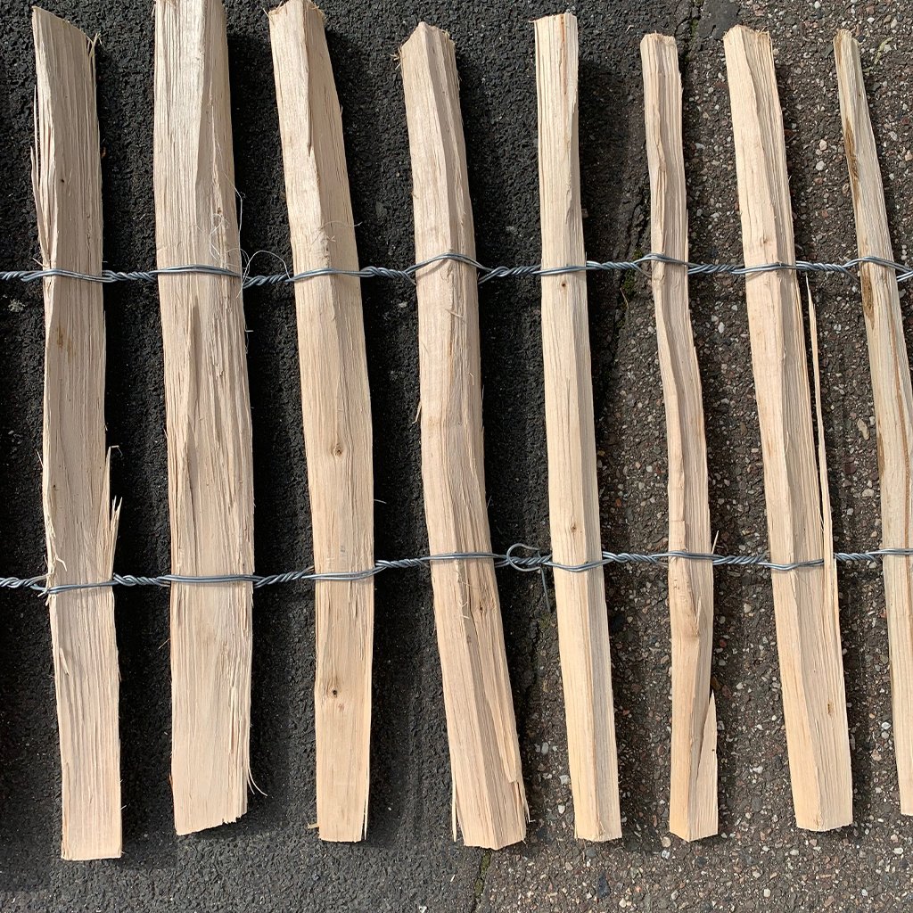 Rückseite der von Hand gespaltenen Haselnuss