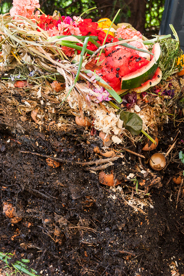 Nahaufnahme eines Komposthaufens mit dunkler, wurzeldurchzogener Erde und organischen Abfällen: halbierte Wassermelone, bunte Blumen, Eierschalen, Gemüse- und Strohreste