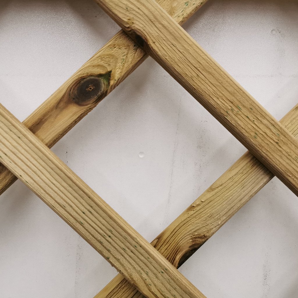 Dichtzaun Classic mit Rankgitter - Detail