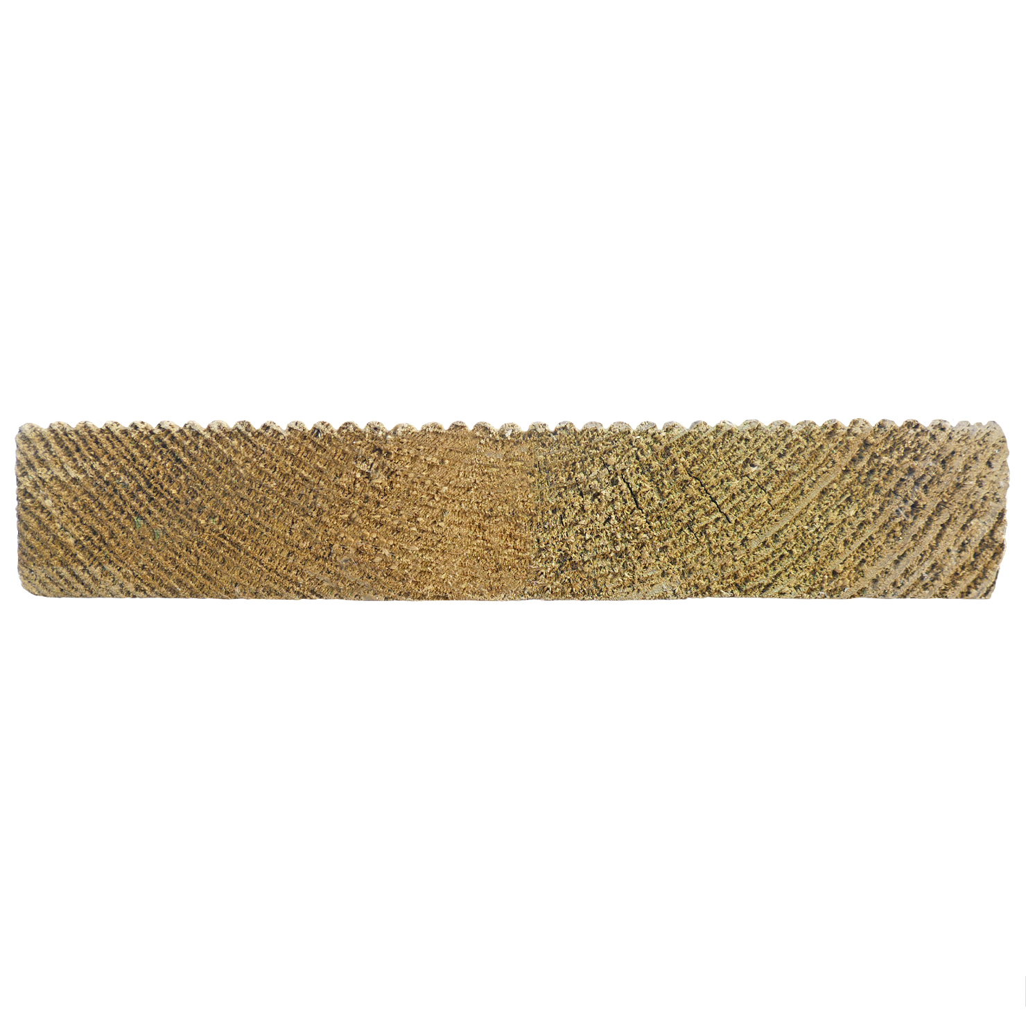 Kiefer, 28 x 115 mm, Stirnseite